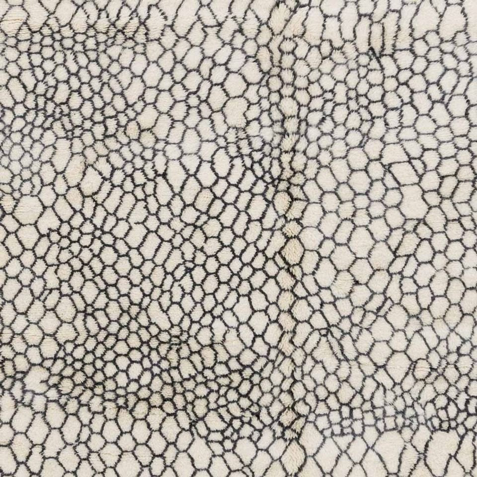 Damou Black and White Area Rug