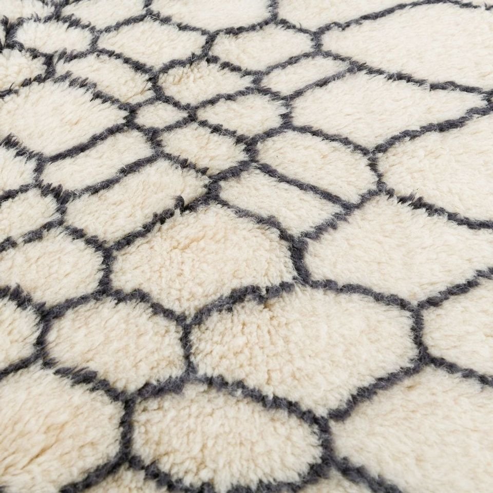 Damou Black and White Area Rug